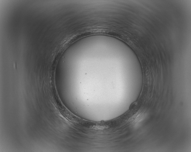 X0000058100255200509230801