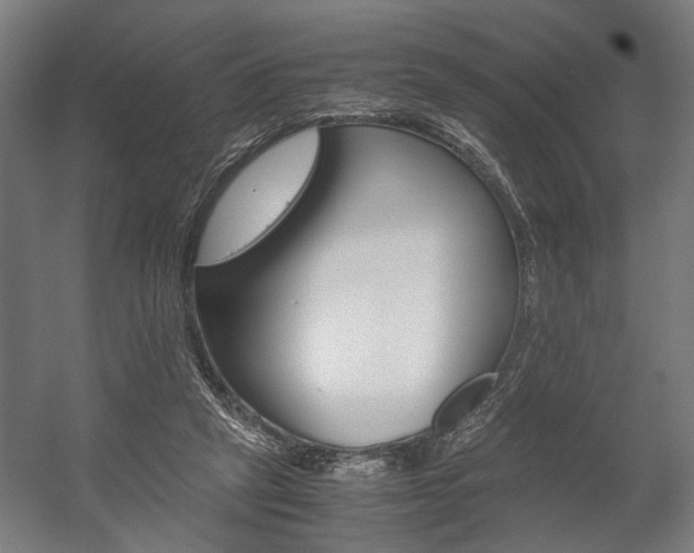 X0000058100257200509230801