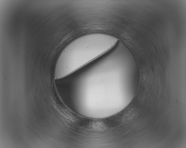 X0000058100262200509230802