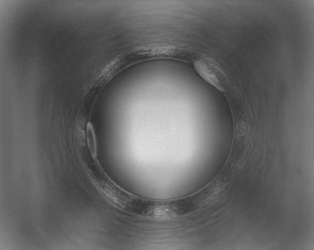 X0000058100264200509230802