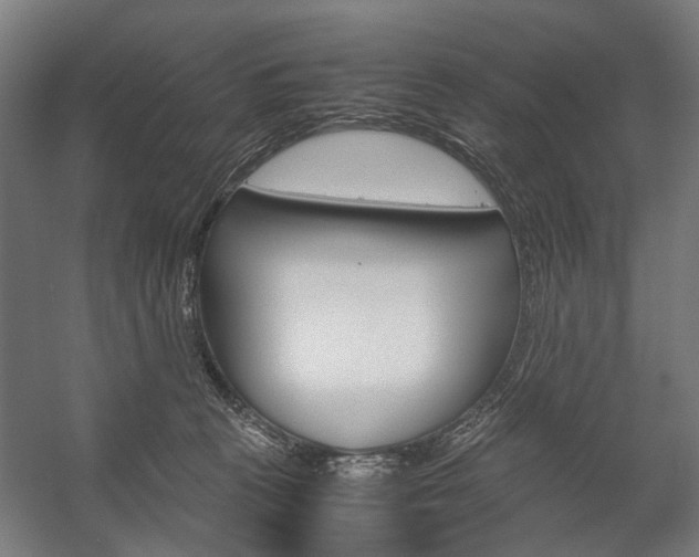 X0000058100273200509230802