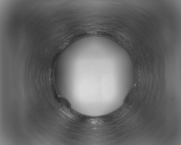 X0000058100275200509230802