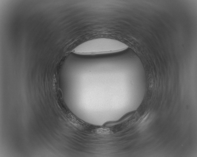 X0000058100279200509230802