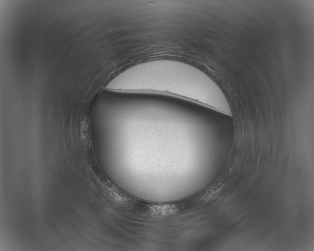 X0000058100281200509230802