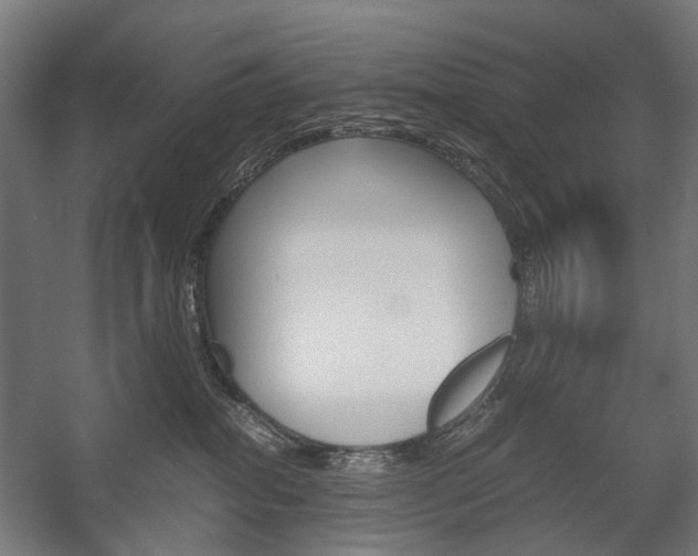 X0000058100282200509230802