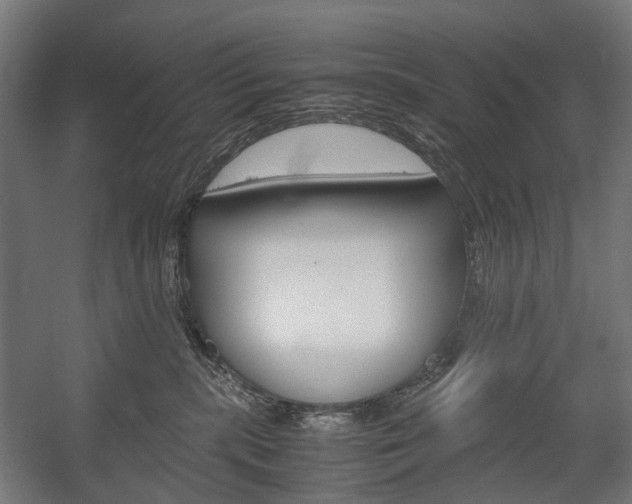 X0000058100283200509230802