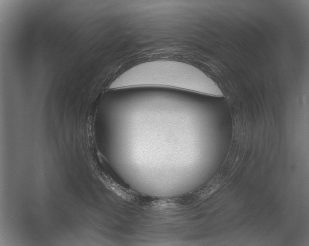 X0000058100284200509230802