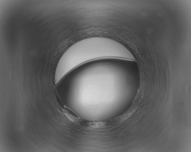 X0000058100288200509230802
