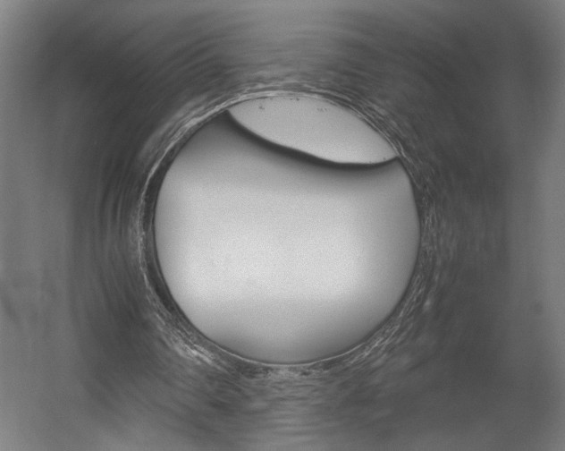 X0000058100290200509230801