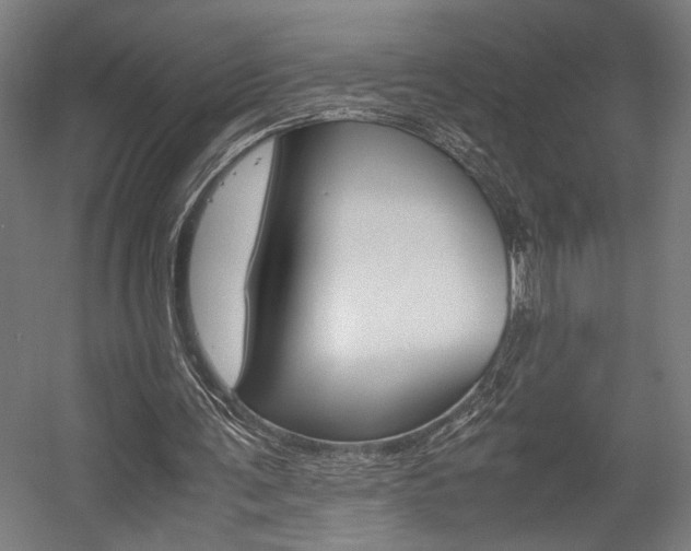 X0000058100291200509230801