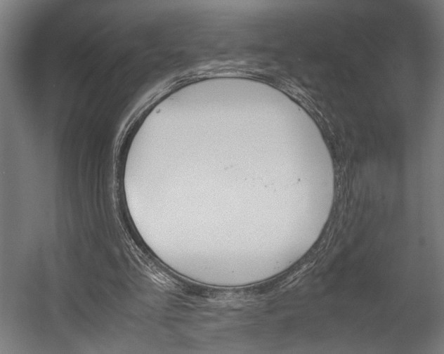 X0000058100293200509230801