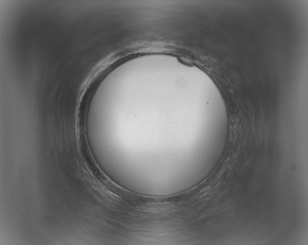 X0000058100296200509230801