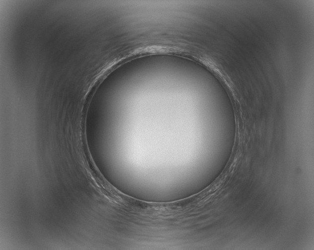 X0000058100297200509230801