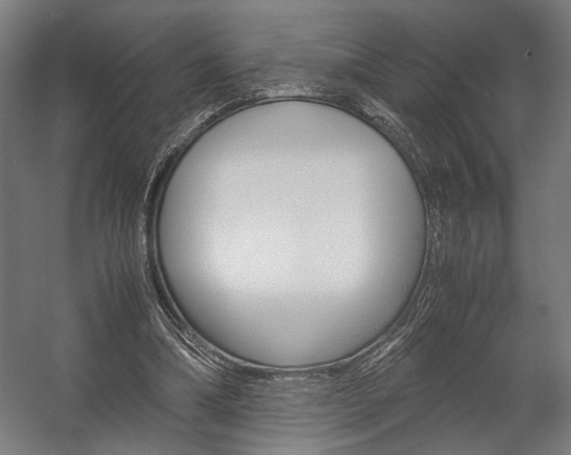 X0000058100298200509230801