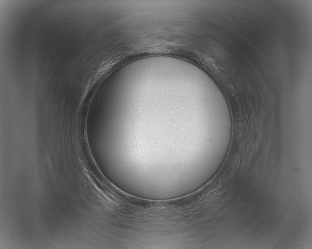X0000058100299200509230801