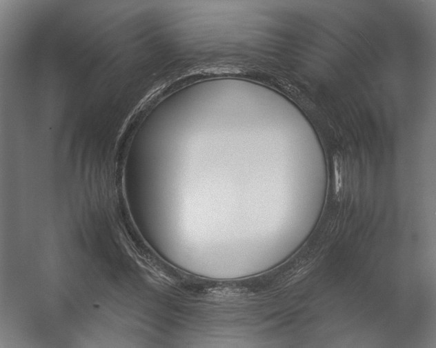 X0000058100300200509230801
