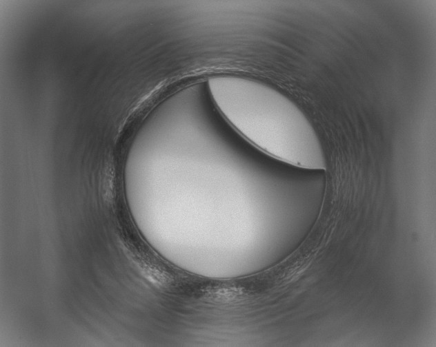 X0000058100304200509230801