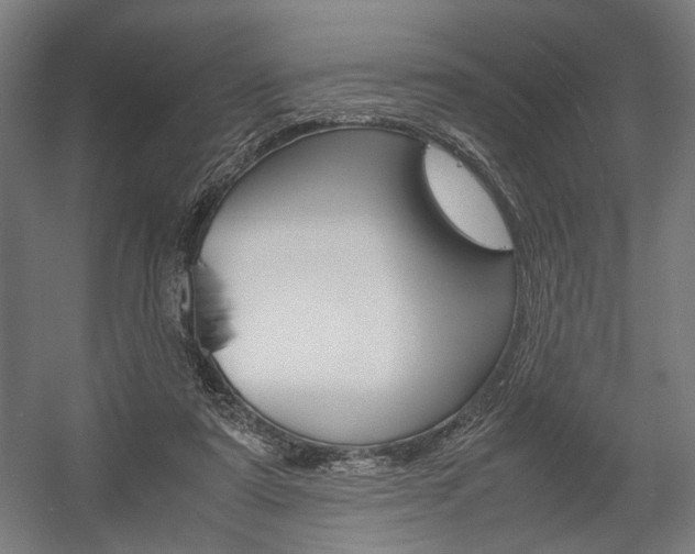 X0000058100307200509230801