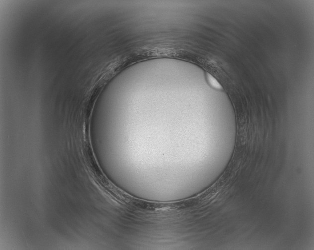 X0000058100310200509230801