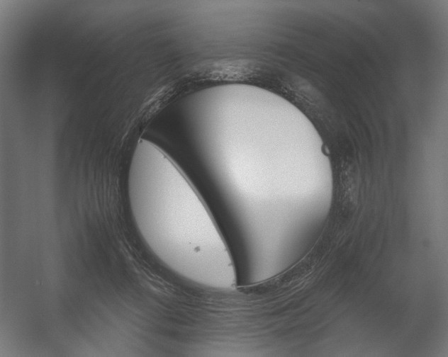 X0000058100312200509230801