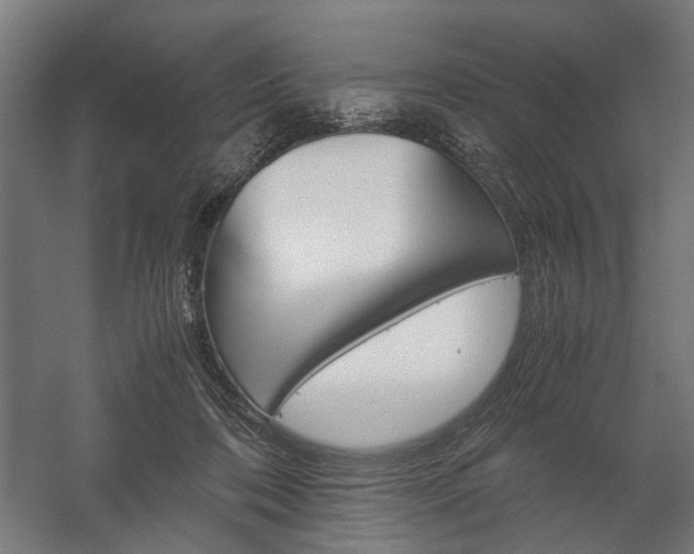 X0000058100316200509230801
