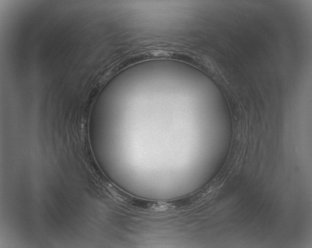 X0000058100321200509230801