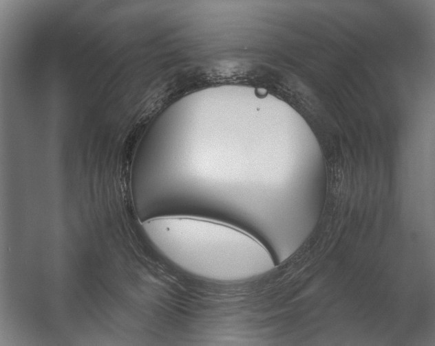 X0000058100324200509230801
