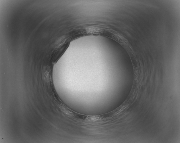 X0000058100329200509230800