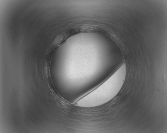 X0000058100333200509230800