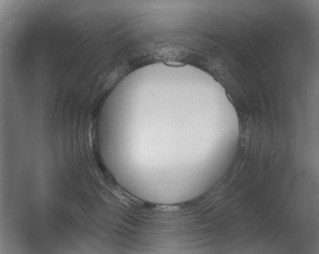 X0000058100334200509230800