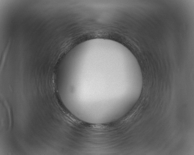 X0000058100336200509230800