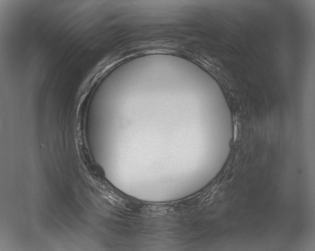 X0000058100339200509230800