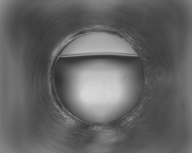 X0000058100341200509230800