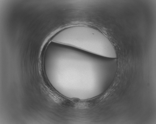 X0000058100342200509230800