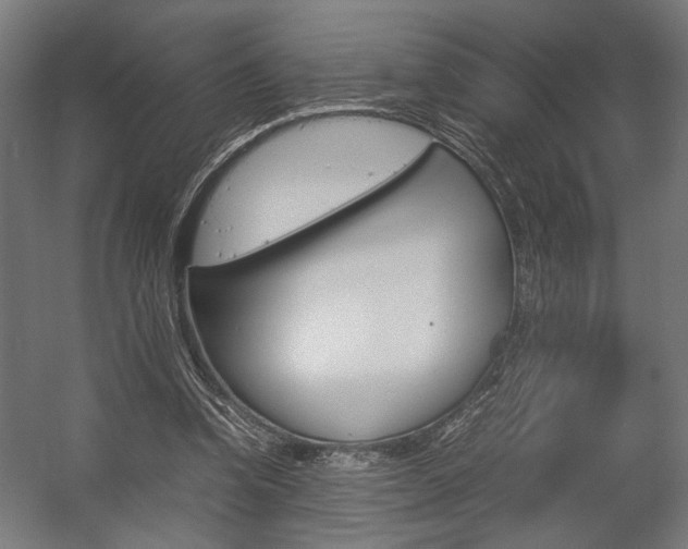 X0000058100346200509230800