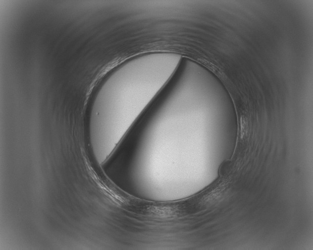 X0000058100349200509230800