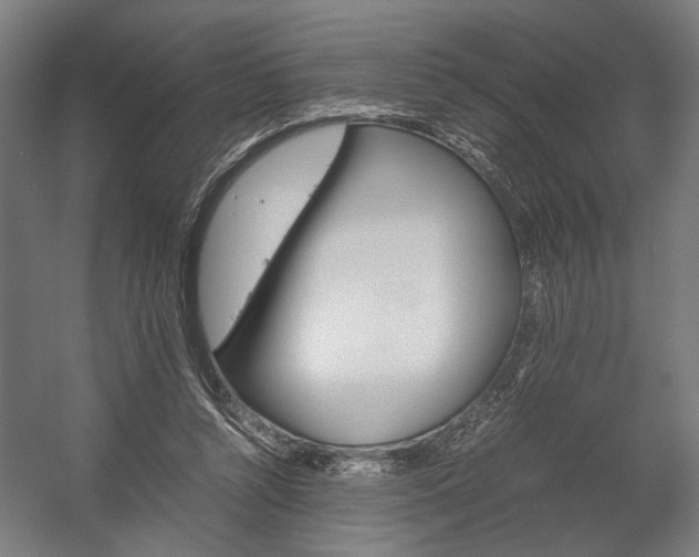 X0000058100352200509230800