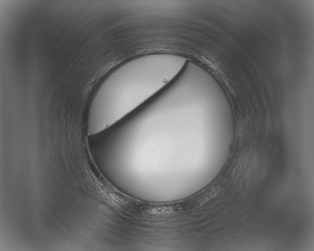 X0000058100353200509230800
