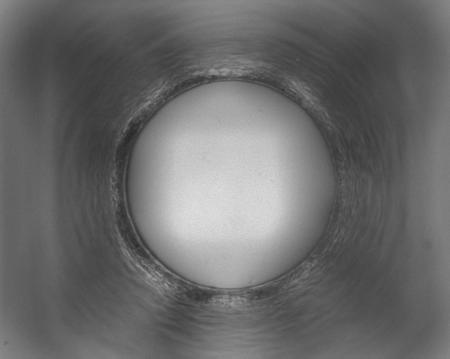 X0000058100354200509230800