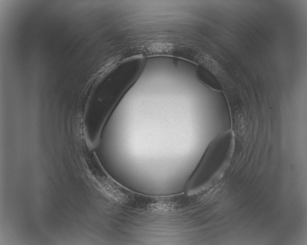 X0000058100356200509230800