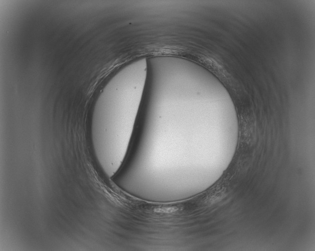 X0000058100357200509230800