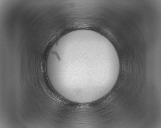 X0000058100362200509230800