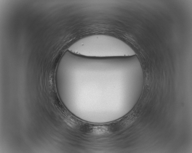 X0000058100363200509230800