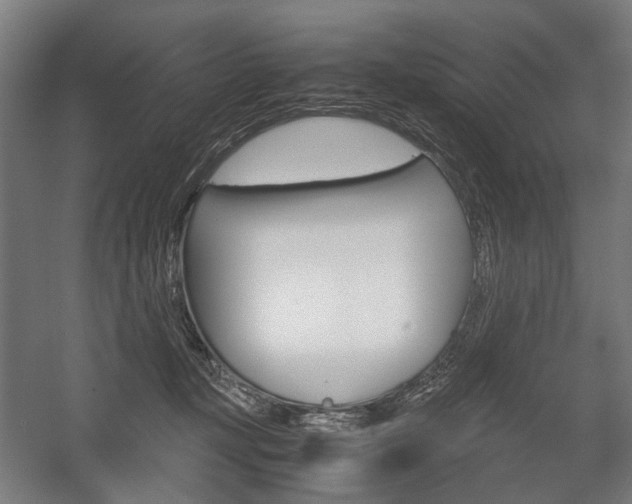 X0000058100367200509230800