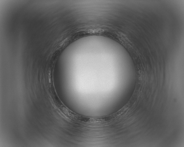 X0000058100368200509230800