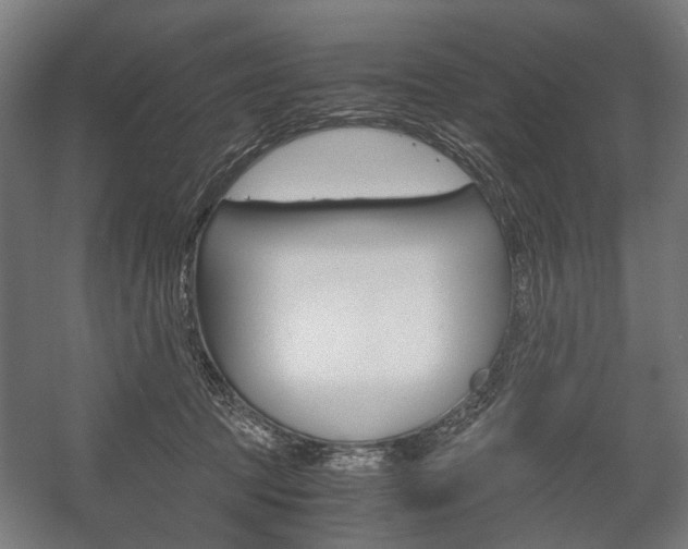 X0000058100369200509230800