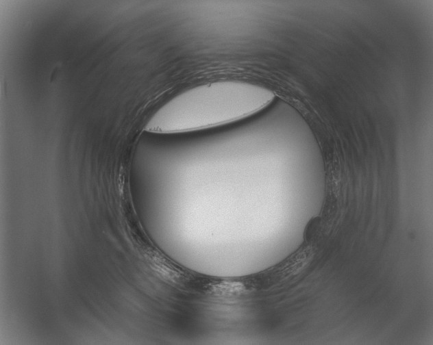 X0000058100374200509230800