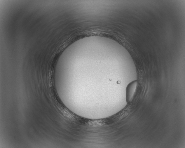 X0000058100378200509230800