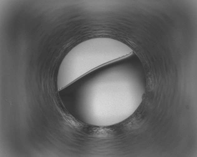 X0000058100379200509230800