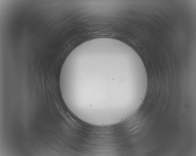 X0000058100380200509230800